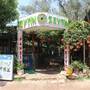 Горящие туры в отель Olympos Zeytin - 1