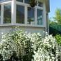 Горящие туры в отель House on Granatnaya - 3