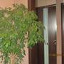 Горящие туры в отель Apart-Hotel Novokurkino - 6