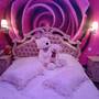 Горящие туры в отель Apartment on Sovkhoznaya 11 - 1