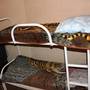 Горящие туры в отель Hostel Nochleg - 4