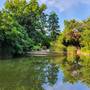 Горящие туры в отель Ensana Thermal Margaret Island - 1