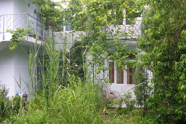 Гуест Хаус Уютныи Дворик