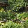 Горящие туры в отель Guest House Uyutnyi Dvorik - 6