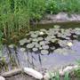 Горящие туры в отель Guest House Uyutnyi Dvorik - 4