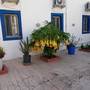 Горящие туры в отель Pay Otel Bodrum - 3