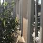 Горящие туры в отель Guest House Viktoria - 1