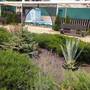 Горящие туры в отель Capri Hotel - 6