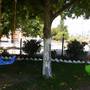 Горящие туры в отель Zeytin Hotel - 3