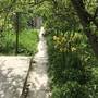 Горящие туры в отель Guest House na Oktyabrskaya 36 - 4