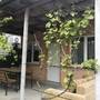 Горящие туры в отель Guest House na Oktyabrskaya 36 - 1