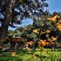 Горящие туры в отель Zhemchuzhina Morya Hotel - 5
