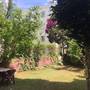 Горящие туры в отель Akdeniz Apart Hotel - 2