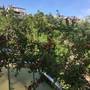 Горящие туры в отель Akdeniz Apart Hotel - 1