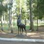 Горящие туры в отель Zeleny Gorodok Health Resort - 4
