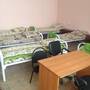 Горящие туры в отель Hostel CCCP - 4