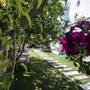 Горящие туры в отель Alacati 716 Butik Hotel - 4