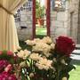 Горящие туры в отель cona Butik Otel - 6