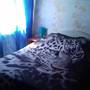 Горящие туры в отель Koshkin Dom Guest House - 4