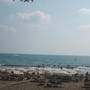Горящие туры в отель Simus Beach Hotel - 2