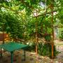 Горящие туры в отель Tatyana Guest House - 5