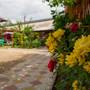 Горящие туры в отель Tatyana Guest House - 3