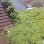 Горящие туры в отель Guest House Family - 3