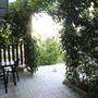 Горящие туры в отель Guest House na Zelenoy - 1