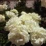 Горящие туры в отель Na Shosseinoy Guest House - 1