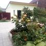 Горящие туры в отель Holiday Home On Naberezhnaya - 1