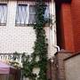 Горящие туры в отель Pribrejniy - 1