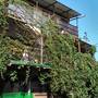 Горящие туры в отель Guest House Laguna - 1