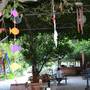 Горящие туры в отель Olympos Doga Pansiyon - 2
