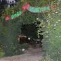 Горящие туры в отель Olympos Doga Pansiyon - 4