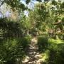 Горящие туры в отель Eskibeyaz/Olympos - 6