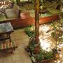 Горящие туры в отель Olympos Natural Pansiyon - 4