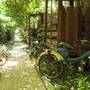 Горящие туры в отель Olympos Natural Pansiyon - 1