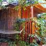 Горящие туры в отель Olympos Natural Pansiyon - 2