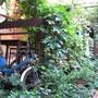 Горящие туры в отель Olympos Natural Pansiyon - 6