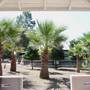 Горящие туры в отель Nature Village Olympos - 4