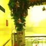 Горящие туры в отель Guest House Vostryakovo - 5