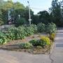 Горящие туры в отель Studio Panorama Riverside - 5