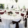 Горящие туры в отель Park Hotel Lesnye Dali - 5