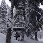 Горящие туры в отель Guest House Lesogorie - 3