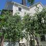 Горящие туры в отель Zolotoy Bereg Guest House - 2