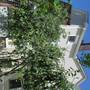 Горящие туры в отель Zolotoy Bereg Guest House - 1
