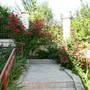 Горящие туры в отель Arhos Guest House - 3