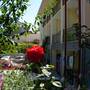 Горящие туры в отель Arhos Guest House - 2