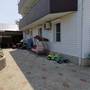 Горящие туры в отель Guest House Garmonia - 3
