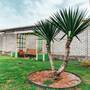 Горящие туры в отель Guest House Alla - 6